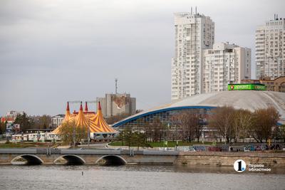 Записаться на программу Курс Цирк 7+ по цене 8900 рублей в городе  Новосибирск