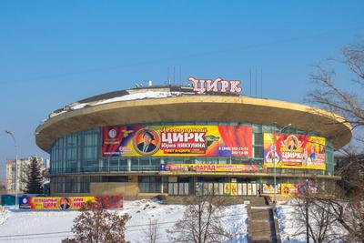 Власти объявили этапы реконструкции цирка в Самаре – Новости Самары и  Самарской области – ГТРК Самара