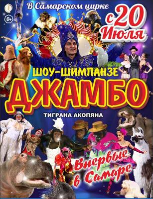 Цирк В Самаре: последние новости на сегодня, самые свежие сведения | 63.ру  - новости Самары
