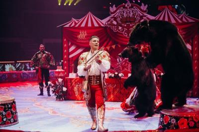 Файл:Самара Цирк и театр Олимп.jpg — Викимедиа