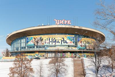 Russia, Samara, May 2016: The building of the Samara Circus named after  Oleg Popov on a sunny day against the sky. Text in Russian: circus twin  brothers Shakira extreme show. Stock Photo |