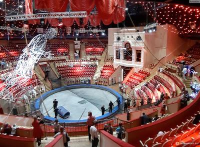 Петербургский цирк проведет экскурсию для незрячих посетителей