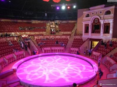 🎪Цирк Чинизелли 🖋️ Цирк в Санкт-Петербурге появился гораздо раньше оперы,  балета и драмы. 🖋️Здание цирка было построено на месте… | Instagram