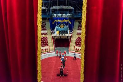Большой Санкт-Петербургский государственный цирк - APPREAL
