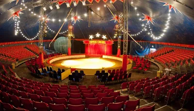 Цирк на Фонтанке в СПб: афиша представлений и билеты
