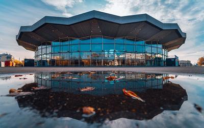 Цирк на проспекте Вернадского в Москве | РИА Новости Медиабанк