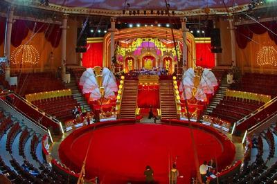 Мэрия Москвы станет владельцем самого большого цирка в Европе — РБК