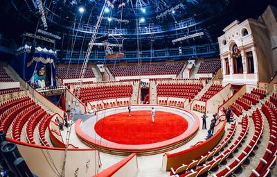 Большой Московский Государственный цирк, Москва - «Мороженое и цирк - это  же \"гормоны радости\"; хоть, где-то \"забываешь\" о действительности за  стенами..; как я выбираю места и билеты. Лайфхаки туристам и зрителям.» |  отзывы