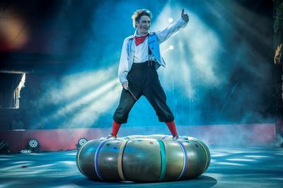 🎪 Цирк Никулина на Цветном бульваре в Москве - афиша и билеты |  Portalbilet.ru