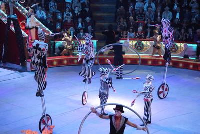 Новое шоу Cirque du Soleil в Москве – Картина дня – Коммерсантъ