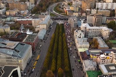 Цветной бульвар — Твоя Москва