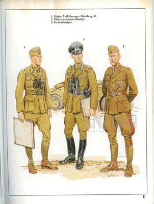 Немецкая армия 1939-1940 [Найджел Томас] (fb2) читать онлайн | КулЛиб  электронная библиотека