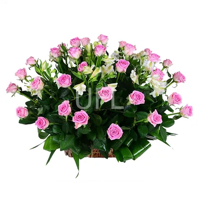 Купить Монобукет «Флоренция» с доставкой в Томске - Городские цветы