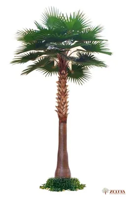 MintOnly Искусственные растения пальма декоративная Вашингтония