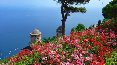 Итальянские сады. Какие цветы здесь сажают в летний сезон? Фото, латинские  названия. | Просто опыт | Дзен
