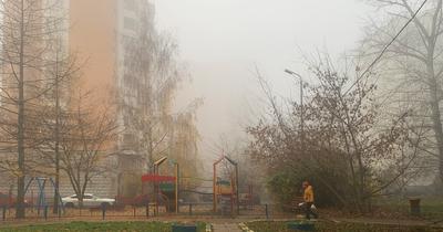 Добро пожаловать в Сайлент Хилл: Москву накрыл густой туман - Газета.Ru
