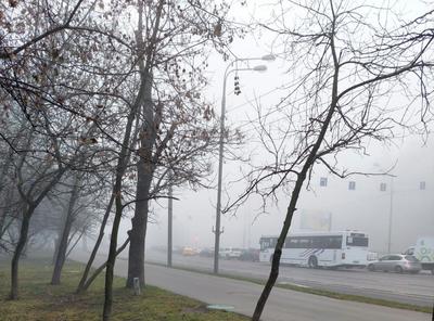 Из-за сильного тумана в Москве воздух пахнет гарью. Экологи ответили,  почему так получилось и когда уйдет запах - KP.RU
