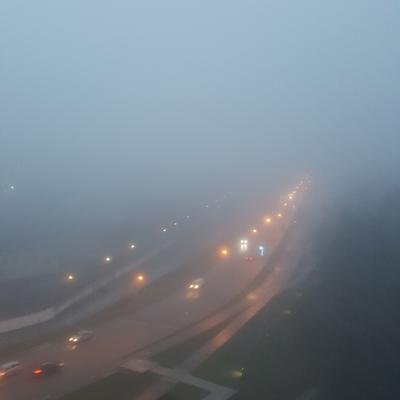 Синоптик рассказал, когда густой туман в Москве сменится рекордным  потеплением