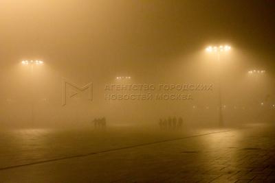 Туман в Москве повторил рекорд 2009 года :: Новости :: ТВ Центр