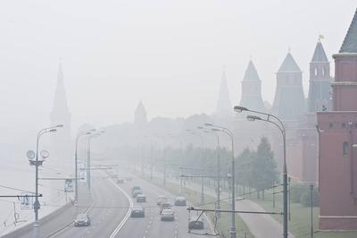 Густой туман в Москве. Фоторепортаж — РБК