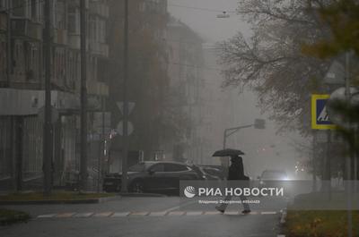 Туман в Москве продержится до конца 2 ноября | Общество | Аргументы и Факты