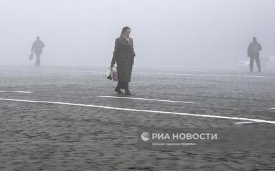 Туман в Москве 2 ноября 2021: фото, причины, официальные комментарии  синоптиков