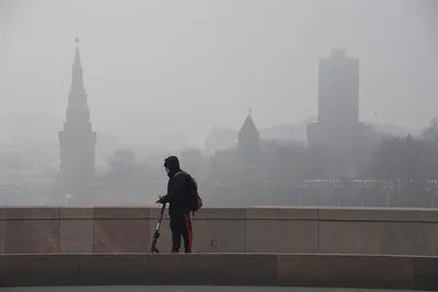 Туман в Москве | РИА Новости Медиабанк