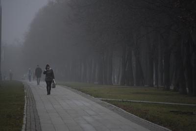 Туман в Москве в стиле Дали» — создано в Шедевруме