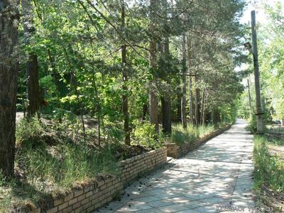 Турбаза \"Чайка\" одноэтажные двухкомнатные домики