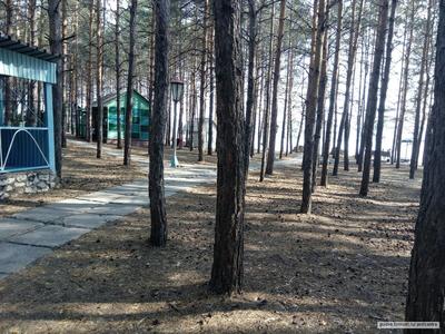 База отдыха Лазурная - Самара, Самарская область, фото базы отдыха, цены,  отзывы