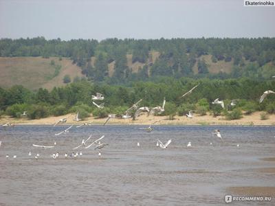 Турбаза \"Сосенки на Волге\" вид из домика | р. Волга г. Самар… | Andrew Mind  | Flickr