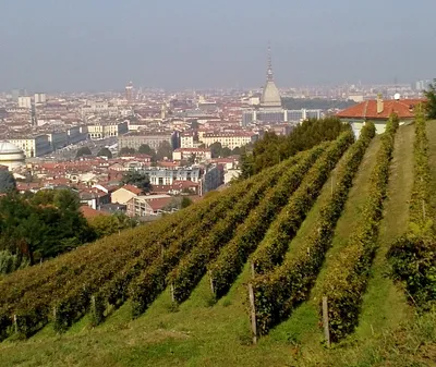 An arts and culture guide to Turin, Italy