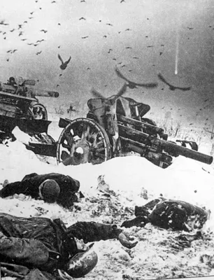 Убитые немецкие солдаты и брошенная немецкая артиллерия под Москвой —  военное фото