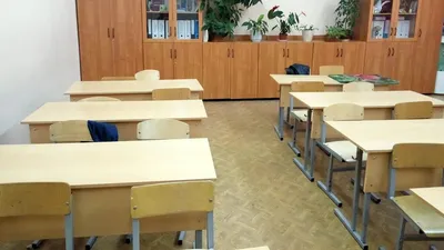 Девочки б/у, помойте голову» В Новосибирске учительница назвала учеников  мусором | Курьер.Среда | Дзен