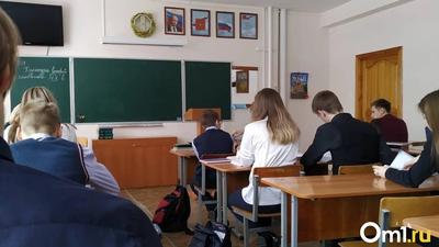 В мэрии Новосибирска рассказали, каких учителей не хватает в школах -  Новости Новосибирска - om1.ru