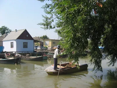 Украинская Венеция: как доехать в Вилково и в чем уникальность города на  воде - Телеканал Украина