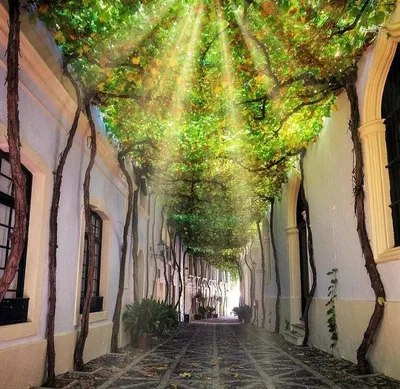 Улица старого городка в центре Calpe Аликанте Испания Стоковое Изображение  - изображение насчитывающей реально, напольно: 67761607