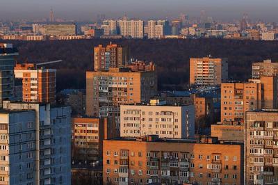 Риелторы назвали молодым семьям лучшие районы старой Москвы для покупки  квартиры - Мослента