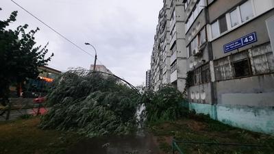 Казанский репортер: Ураган в Казани. После жары в 40 градусов сносит деревья