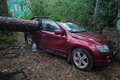 На Казань обрушился сильный ураган | Происшествия | Аргументы и Факты