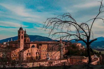 Урбино, искусство и история итальянского «идеального города» - italiani.it
