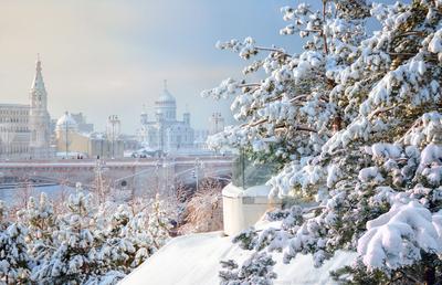 зимнее утро в москве стоковое фото. изображение насчитывающей празднично -  216492534