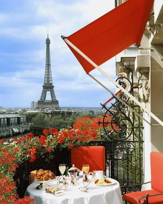 18.8 mil Me gusta, 177 comentarios - P o l i n a | П о л и н а (@polabur)  en Instagram: \"Wouldn't mind having breakfast with th… | Paris hotels,  Paris travel, Paris