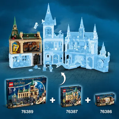 Купить в Минске Конструктор LEGO Harry Potter 76387 Хогвартс: пушистая  встреча Лего Гарри Поттер Магазин детских игрушек и товаров для детей