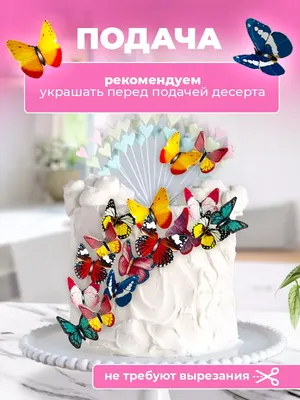 Купить торт смак Екатеринбург оптом и в розницу по низкой цене