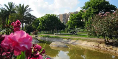 Забронируйте жилье в Валенсии City Cards онлайн