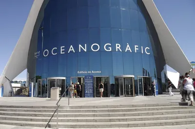 Поглед към света: L'oceanografic de Valencia (Океанографски аквариум,  Валенсия)