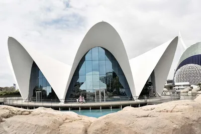 Валенсия: комплекс океанографических, полушарных и научных музеев |  GetYourGuide