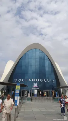 Отзыв о Океанариум \"Oceanografic Valencia\" (Испания, Валенсия) | Самый  крутой океанариум в Европе!