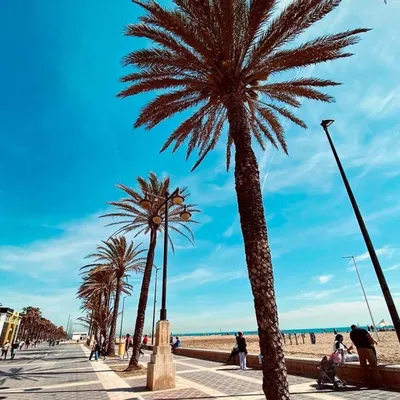 Playa de la Malvarrosa, Валенсия: лучшие советы перед посещением -  Tripadvisor